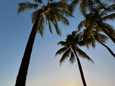 サンセットでリセット