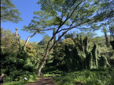 訪れるたびにハワイがもっと好きになる！