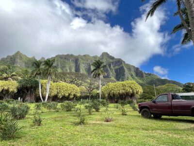 30年ぶりのHawaii