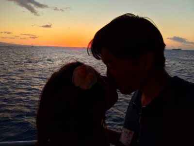 Sunset kiss in Hawaii