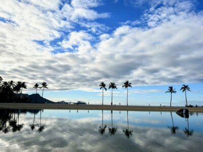 待ってたよ‼️この景色🌴