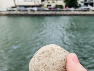 ゲンキボール！アラワイ運河を泳げるようにして！！