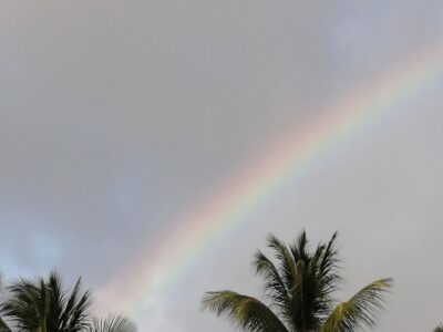 楽園のRAINBOW