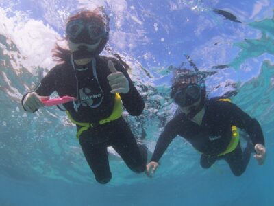 きれいになったハナウマ湾🐠