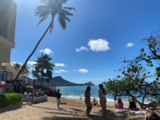 You are currently viewing 癒しのHawaii