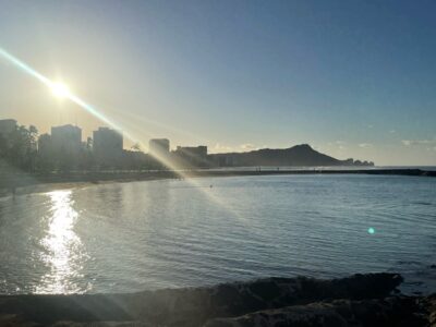 朝日を浴びて今日も頑張る