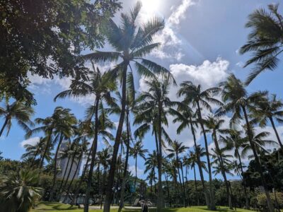 これぞハワイの景色