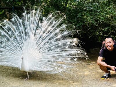 世界の鳥に会える場所