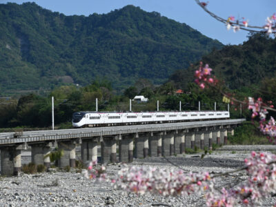 台湾鉄道新型特急と桜!?