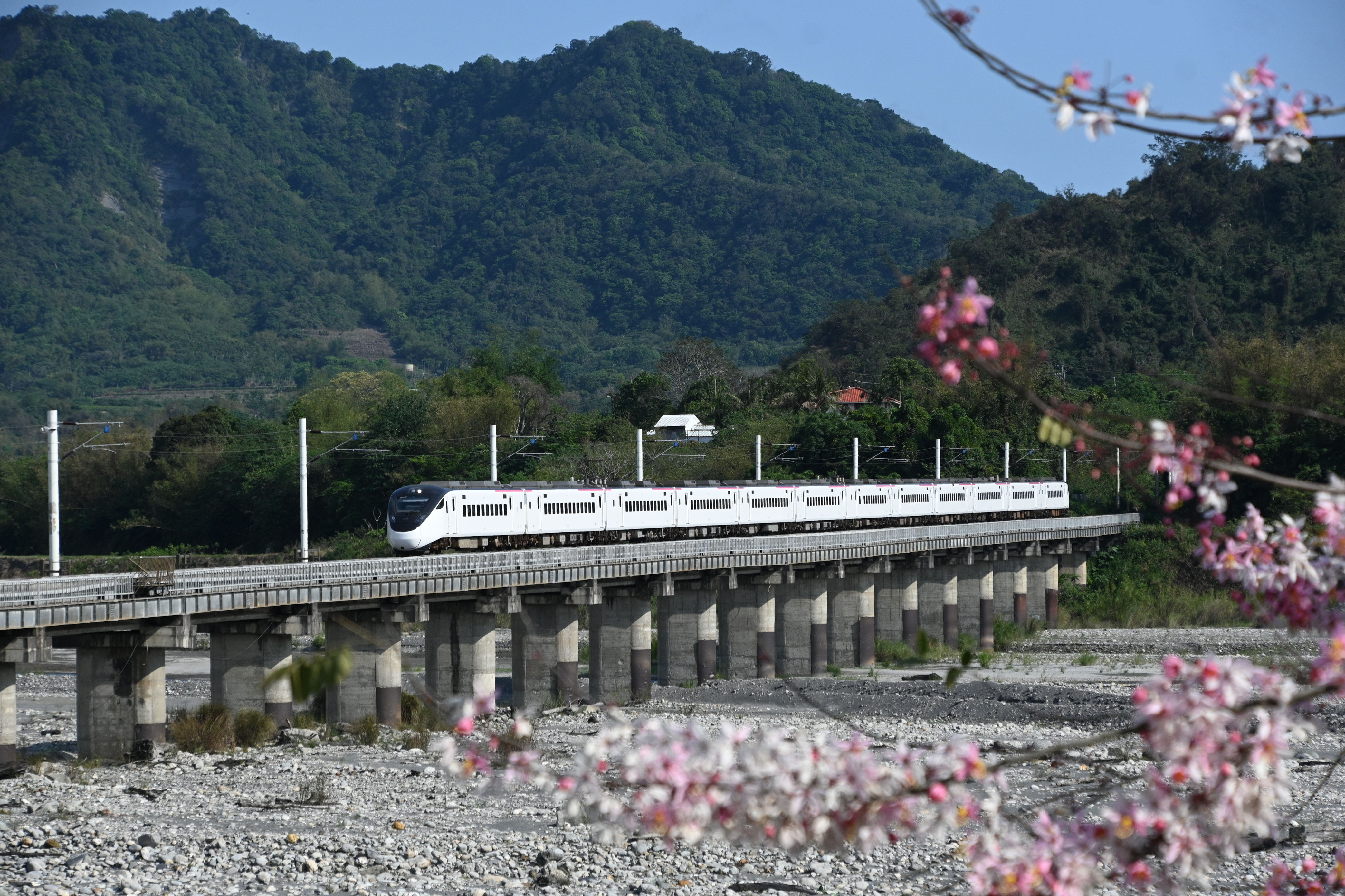 Read more about the article 台湾鉄道新型特急と桜!?