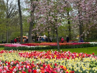 3年越しのヨーロッパ　花紀行