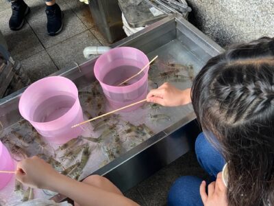 1台湾１海老釣り