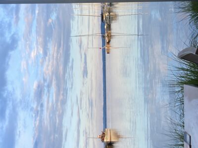 初夏　薄暮のバラトン湖畔で出会った景色