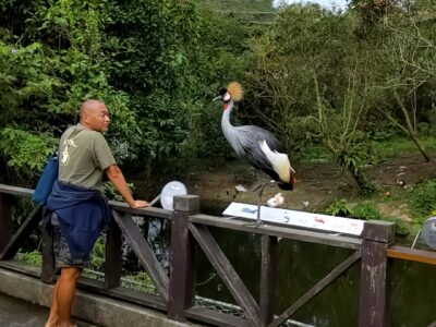 近すぎる！台北市立動物園