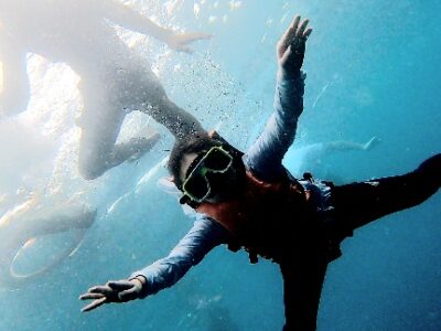 水中の世界に飛び込め！