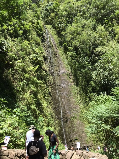 Read more about the article MANOA FALLS TRAIL