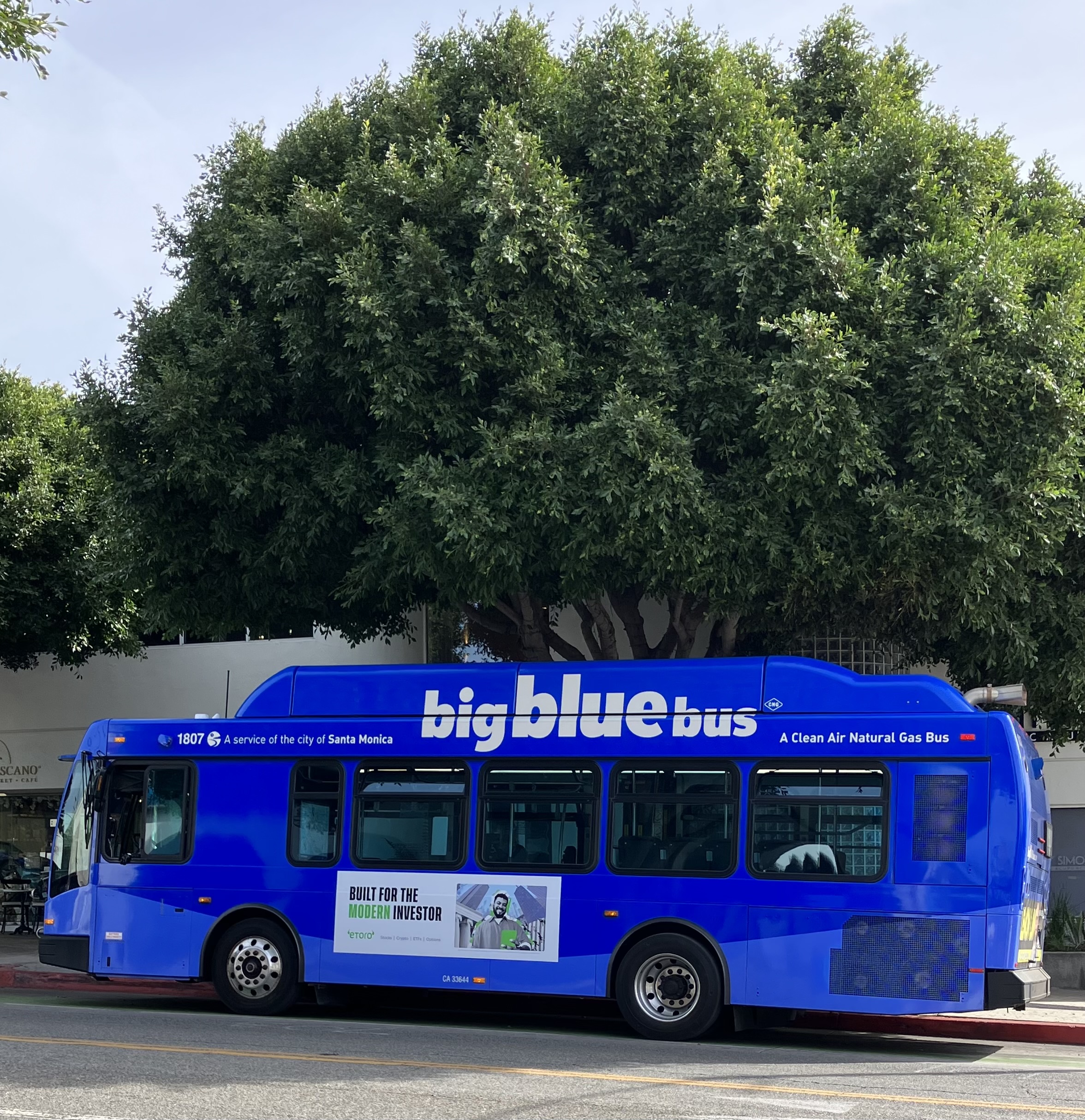 You are currently viewing Big Blue Bus