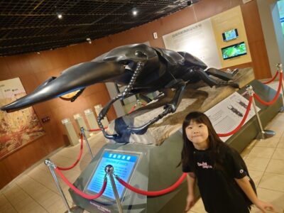 日本には無い！驚きいっぱいの動物園！