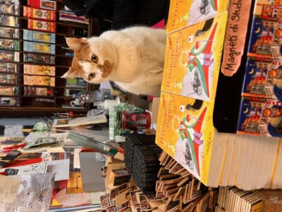 かわいい看板にゃんこ