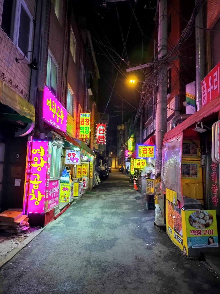 You are currently viewing 夜のソウルの路地